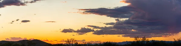 Image Panoramique Désert Sonoran Arizona Coucher Soleil Avec Une Pluie — Photo
