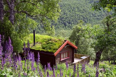 Çim çatılı evi.