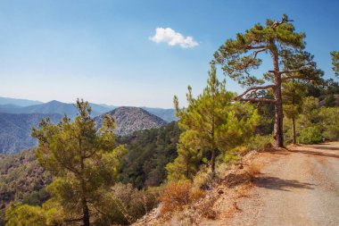 Yunan güneşli manzara