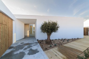 Ahşap güverte ve zeytin ağacı ile modern ev