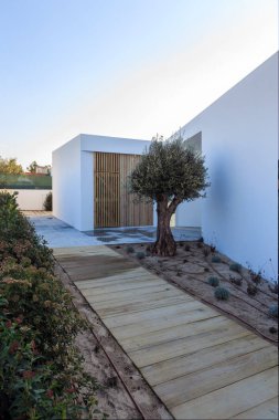 Ahşap güverte ve zeytin ağacı ile modern ev