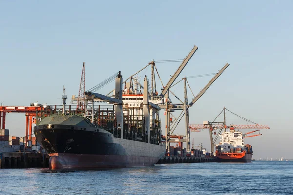 Teherszállító hajók kikötői betöltése — Stock Fotó