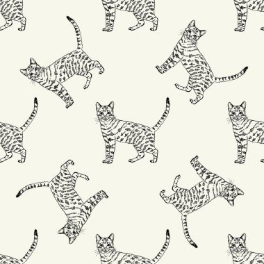 Desen bir görüntü bir kedi. Hafif bir arka plan üzerine siyah.