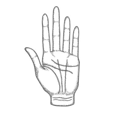 Çizgileri olan bir adamın sol eli. Vintage tarzında vektör illüstrasyonu, siyah ve beyaz, el çizimi.
