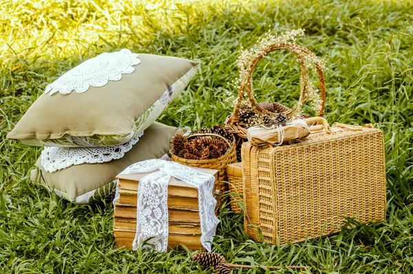 Kitaplar, sepet ve yastıklar çimenlerin üzerinde