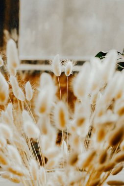 Bahar yeşillikleri sıcak kurutulmuş çiçekler yatay