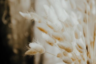 Bahar yeşillikleri sıcak kurutulmuş çiçekler yatay