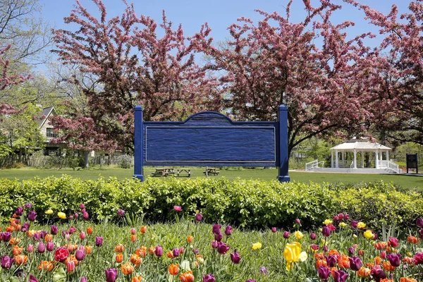 City Park in Springtime — Stock Photo, Image