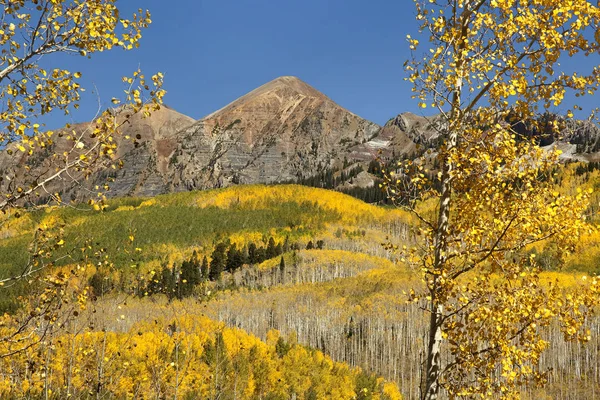 Foreground aspens and mountains along Keblar Pass