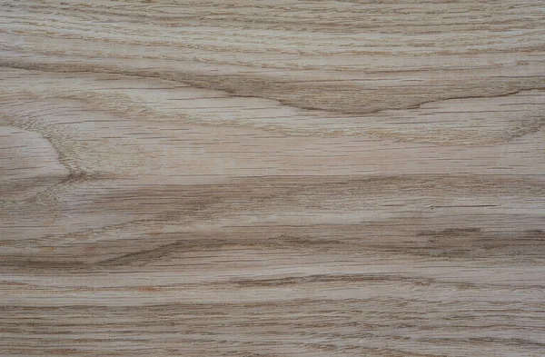 Oak wood texture — Stock Photo, Image