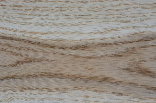 Дуб текстури деревини — стокове фото