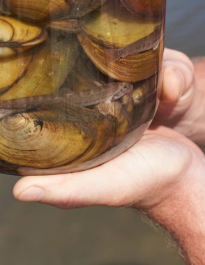 Banka bir adam elinde nehir nüfuslu.