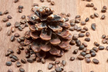 Çam fıstığı maun panoları koni ile.