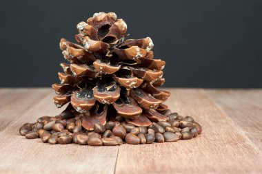 Çam fıstığı maun panoları koni ile.