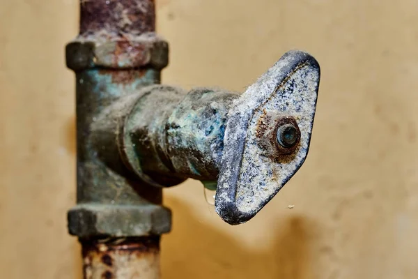 Crane on a rusty pipe. — Stock Photo, Image
