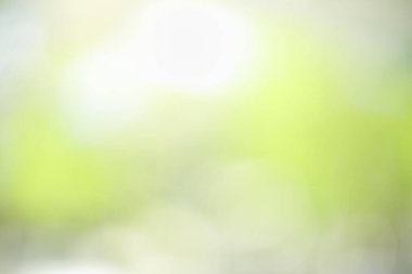 Özet bulanık ve bulanık yeşil yaprak arka plan güneş ışığı altında arka plan doğal bitki manzarası, ekoloji duvar kağıdı konsepti olarak kullanılarak bokeh ve kopyalama alanı altında.