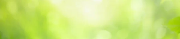 Streszczenie Nieostre Rozmazane Zielone Tło Liści Świetle Słonecznym Bokeh Przestrzeń — Zdjęcie stockowe