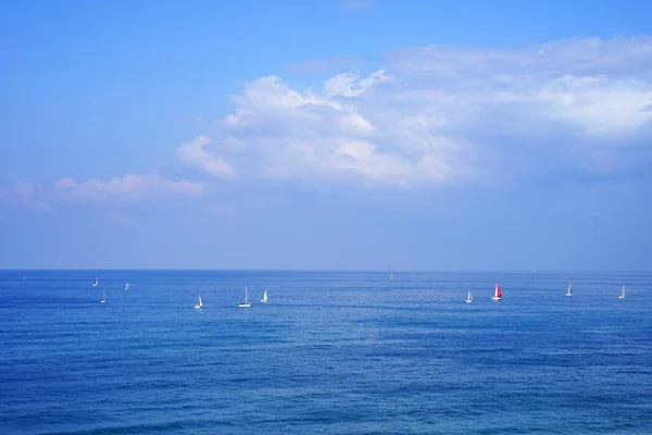 Horizonte do mar em um dia ensolarado de verão — Fotografia de Stock