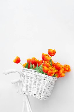 Beyaz arka planda sepetteki kırmızı laleler.