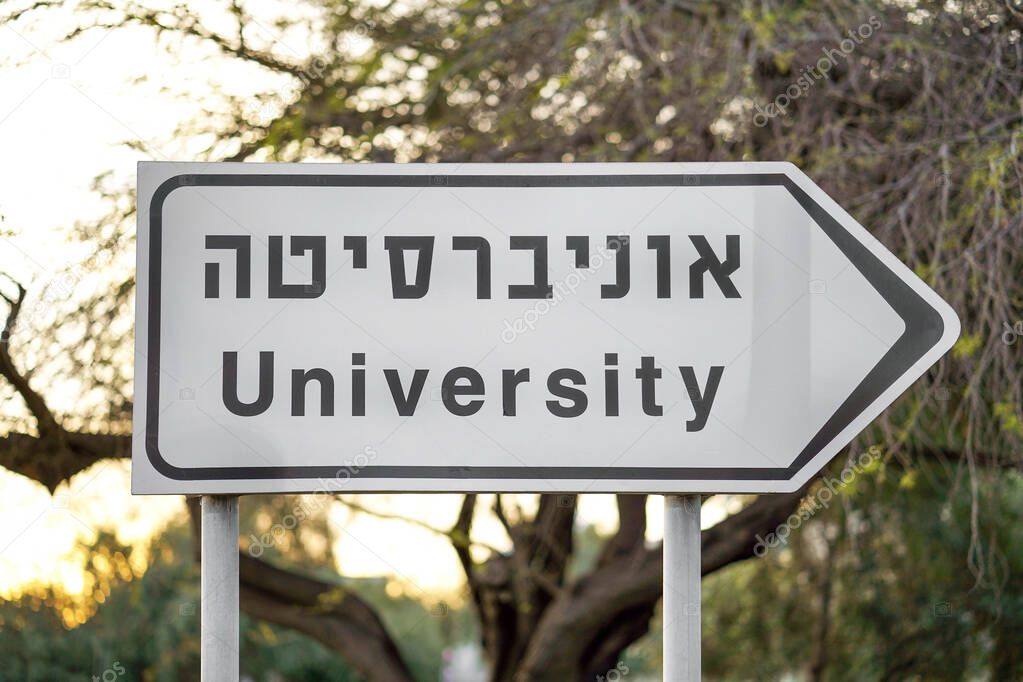 University sign on the road. University road sign, arrow on street on trees background. Closeup sign of University in english and hebrew. Tel Aviv. Israel.