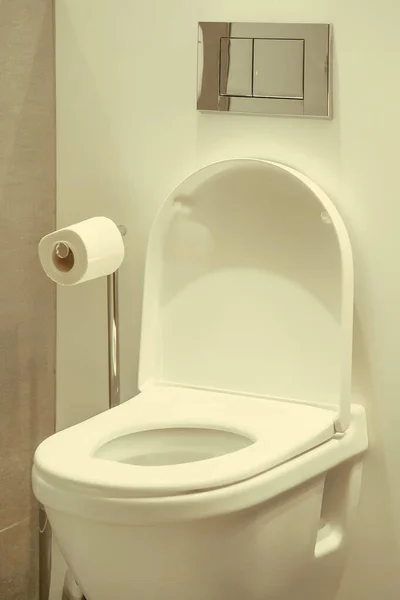 Toalettpapper Rulla Toaletten Hemmet Närbild Toalettskål Och Rulle Toalettpappershållare Lyxhotell — Stockfoto