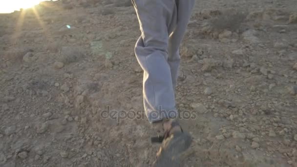 Joven hippie pasea con su perro en la puesta del sol del desierto — Vídeo de stock