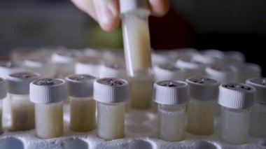 El, laboratuvar örneğini geri koyar ve bilimsel test için bir tane daha alır.