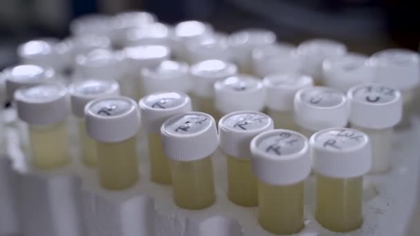 Lot Différents Échantillons Sur Une Table Dans Laboratoire — Video