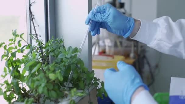 Jongeman Een Biotech Lab Controleert Meet Data Een Groen Energie — Stockvideo