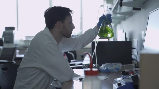 Homme dans un laboratoire vérifiant une fiole avec expérience avec des algues ou une source verte 