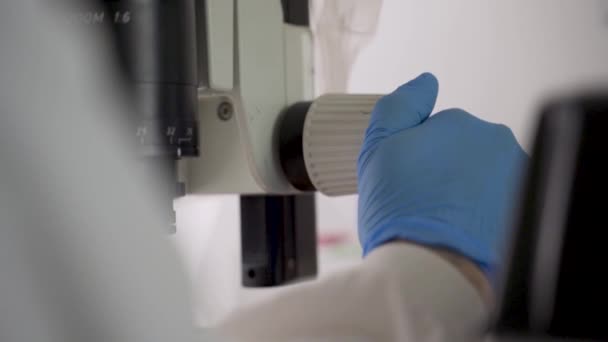 人工调整实验室或科学室的显微镜 — 图库视频影像