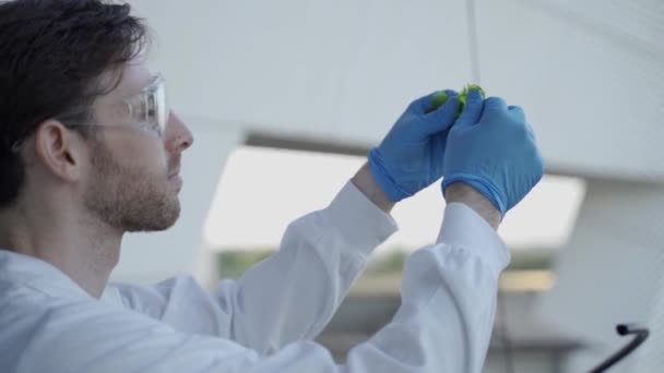 Biotechnológiai Tudós Vagy Hallgató Algákat Vizsgál Egy Kutató Laboratóriumban — Stock videók