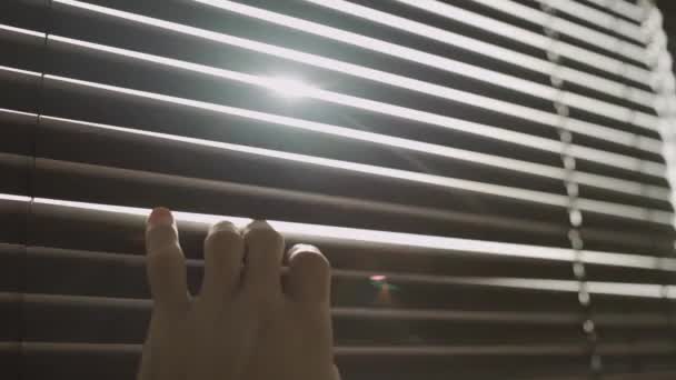 Hand Pulls Venetian Blinds Peek Them — Stock Video