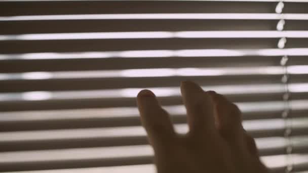 Camera Follows Hand Reaching Open Window Blinds Peek — Stock Video