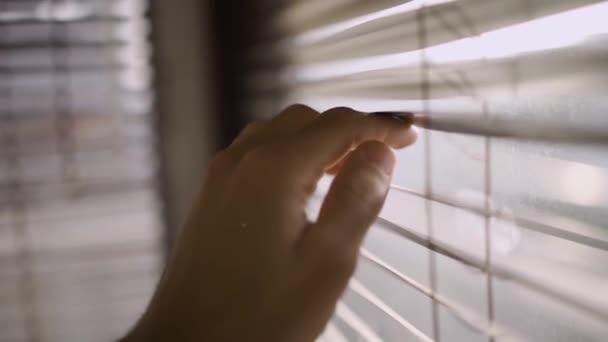 Kikar Genom Fönsterpersienner Plast Tittar Från Kontor Eller Hus — Stockvideo