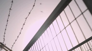 Güneşli bir günde uçup giden kuşlarla dikenli telli metal çitler.