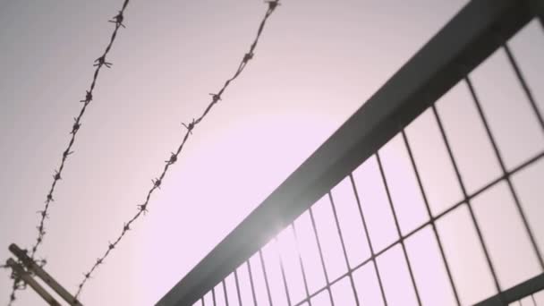 午後の太陽の下でフェンスに鉄条網の壮大なショット スローモーションの動き — ストック動画
