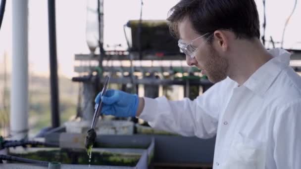 Lebensmittelingenieur Oder Biotechnologe Überprüft Algen Die Einem Speziellen Labor Wachsen — Stockvideo