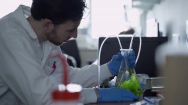 Laboratuvarda biyoteknoloji uzmanı ya da tarım uzmanı su yosunlarıyla fokurdayan şişeyi kontrol ediyor.