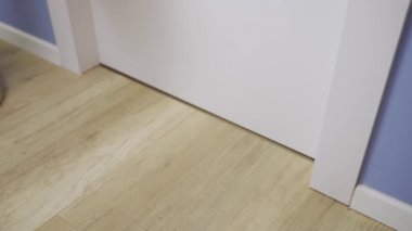 Lateks eldivenli el, paket paket paket yiyecek. Temas teslimatı yok.