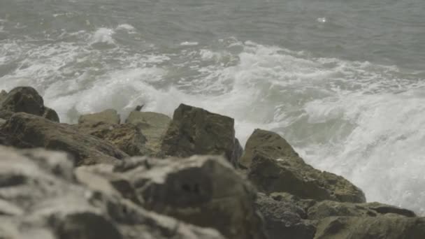 特拉维夫海滩岩石上海浪冲撞的史诗般的镜头 缓慢地猛烈冲击着海水 地中海 — 图库视频影像