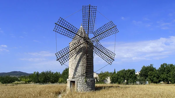 Windmill on field on Mallorca — Stock Photo, Image