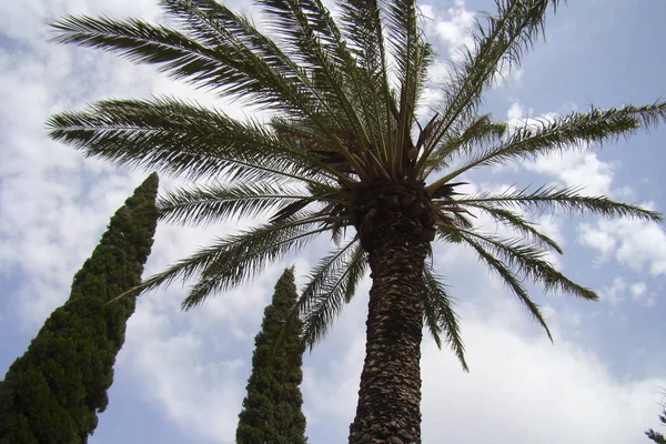 Church Beatitudes Tabgha Israel You Look Wunderful Sky — Stock Photo, Image