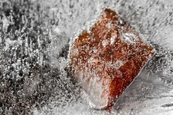 Uma folha em um bloco de gelo — Fotografia de Stock