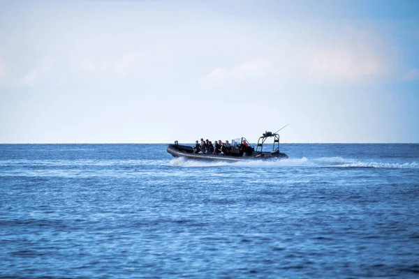 Speedboot op het blauwe water — Stockfoto