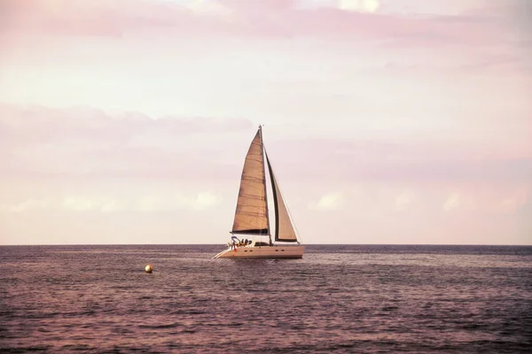 Catamaran in profiel in het mystieke lila avondlicht — Stockfoto