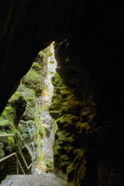 Sakson İsviçre 'de Schwedenloecher denilen yürüyüş yolunun dar bir mağarasından bakın. Kayalar yeşil moz ile kaplanmış.
