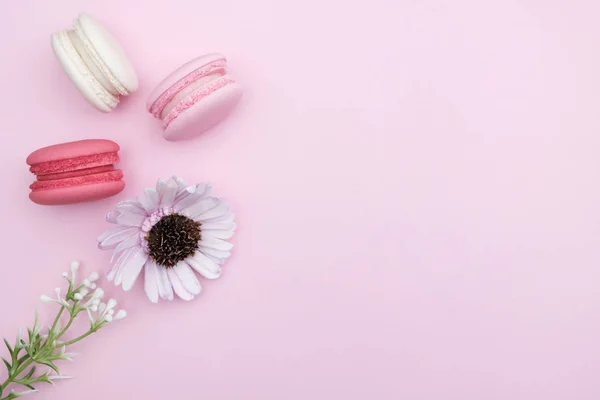 Macarons em fundo rosa — Fotografia de Stock