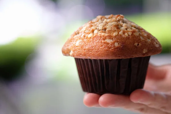 Délicieux muffins aux mûres — Photo