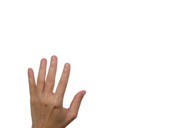 Beyaz arkaplanda el izole.